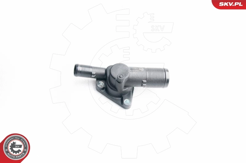 Thermostat, coolant